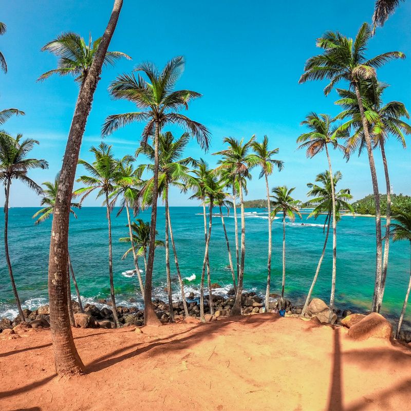 Mirissa Beach