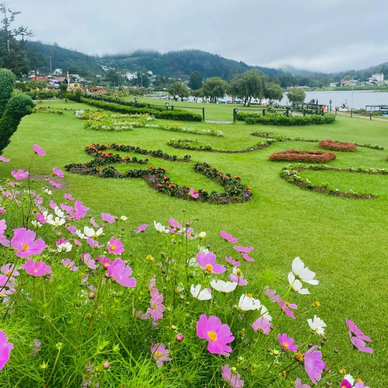 Highlands